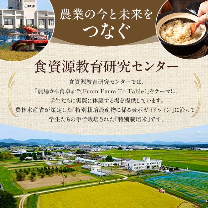 米 令和8年産 神大のおこめ（特別栽培米ヒノヒカリ）玄米30kg お米