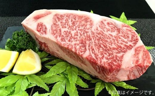 500g【佐賀牛】ロースブロック（タタキ・ローストビーフ・焼肉等） D-609