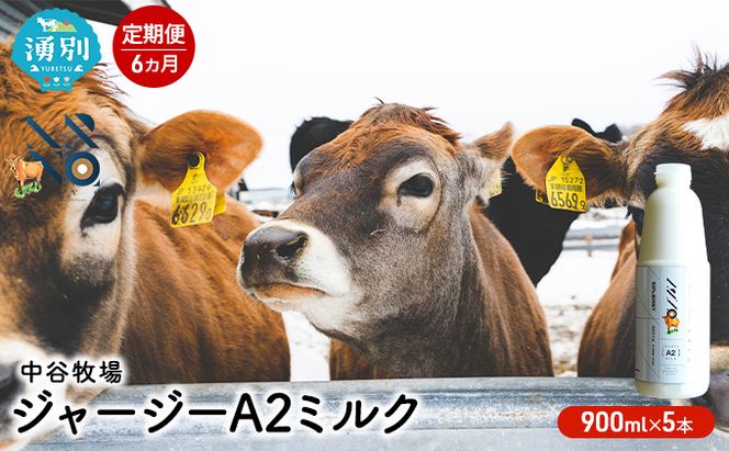 【6カ月定期便】中谷牧場 ジャージー A2ミルク 900ml×5本 ジャージー牛 やさしい 国産 オホーツク北海道 牛乳北海道産 ジャージー牛乳 飲み物 朝食 生乳 牧場のミルク 牧場の牛乳 こども 