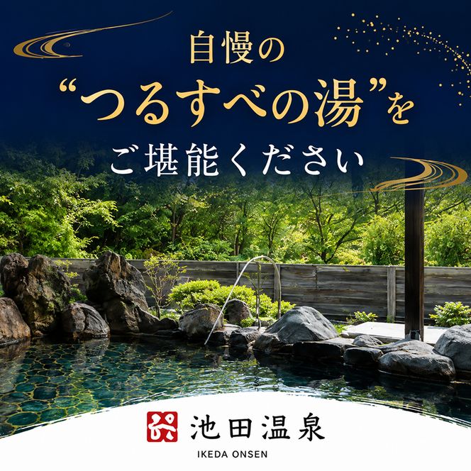 池田温泉 大人回数券1冊 (11枚つづり) チケット 温泉利用券 