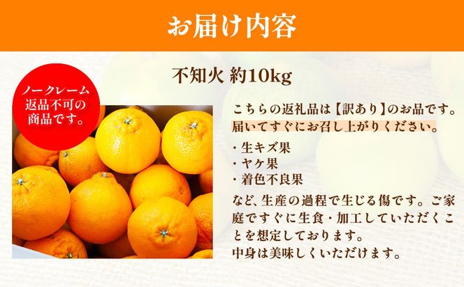 【先行予約】訳あり 不知火 計10kg ※離島への配送不可（2027年2月中旬頃より順次発送予定）IKTAC030