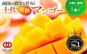かおる・とろける！土佐マンゴー１個