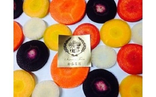 【期間限定】 冬の寒さでぎゅっと濃い！虹色のカラフルにんじん 鈴盛農園 農家直送 甘い スーパーフード 健康 自慢 ジュース サラダ ギフト 贈り物 βカロテン ポリフェノール リコピン ジューシー H022-012