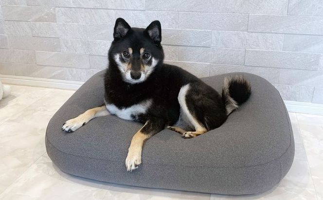 ペットソファー 雲にのる ペットソファ スクエア 本体 Sサイズ カバー 付き 防水 ペットベッド ソファー ソファ クッション ペット ペット用品 犬 猫 インテリア 日用品 雑貨 MOGU mogu 兵庫県 兵庫 