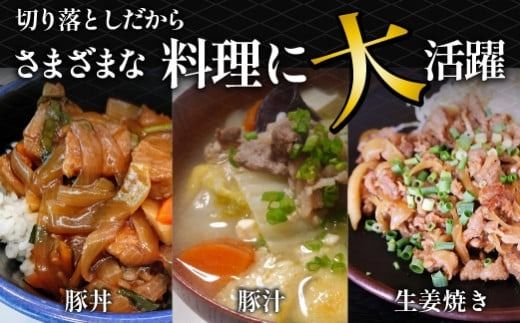 【毎月数量限定】ホエー豚 切り落とし 4.8kg（300g×16袋 豚肉 豚 切り落とし こま切れ 小間切れ 小分け しゃぶしゃぶ）
