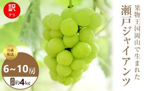 【2026年 先行予約】【訳あり品】瀬戸ジャイアンツ 6～10房 合計約4kg 冷蔵配送 ぶどう 葡萄 フルーツ 果物 岡山 高梁市
