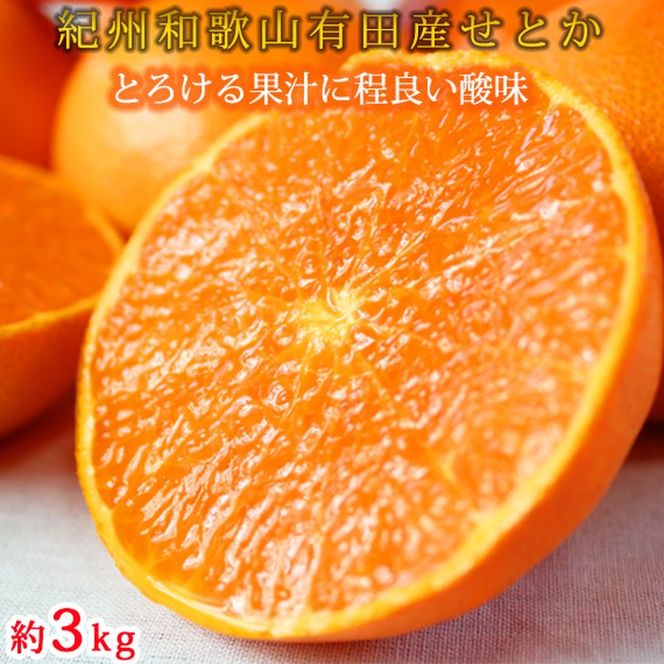 とろける食感!ジューシー柑橘 せとか 約3kg｜みかん ミカン 柑橘 果物 くだもの フルーツ せとか 甘い 先行予約 国産 産地直送 人気 美浜町