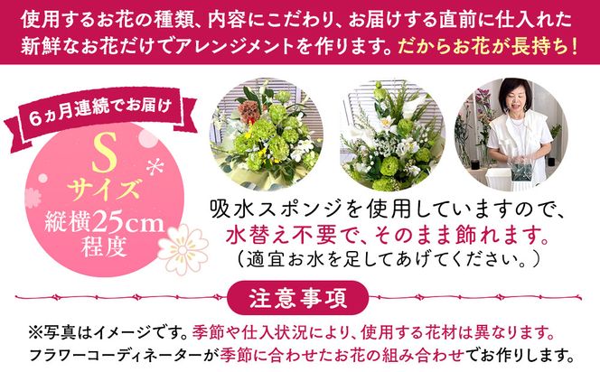 【定期便６ヵ月】月命日生花アレンジ　Sサイズ　６ヵ月連続でお届け【 神奈川県 小田原市 】 142069_HQ011