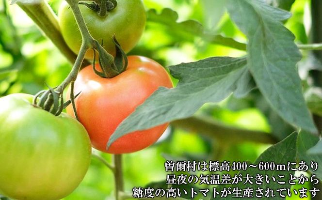 【極濃搾り】曽爾高原特産トマトの無添加100％トマトジュース 1000ml×2本セット 【2025年8月中旬より順次発送】