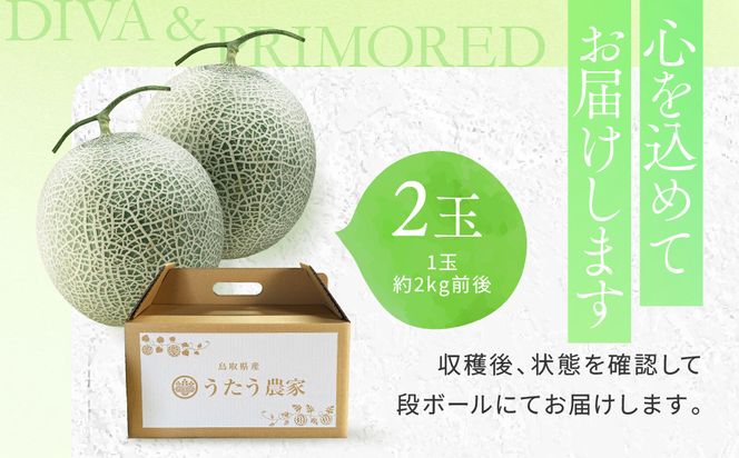 【先行予約】956.【ふるさと納税】青肉メロンディーバと赤肉メロンプリモレッドのセット ※日本全国配送可能  2026年10月上旬頃～11月上旬頃に順次発送予定 313726_BQ012
