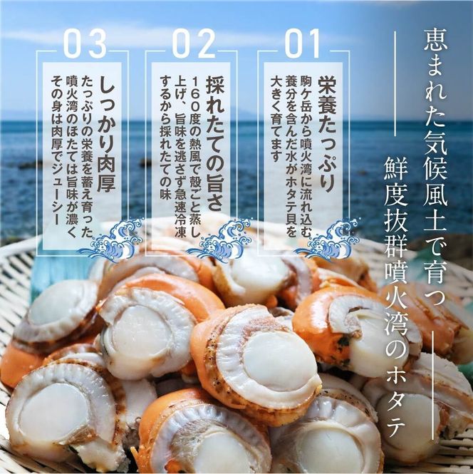 蒸しほたて（冷凍）【06002403】