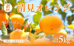 【先行予約】訳あり 清見オレンジ計5kg ※離島への配送不可（2026年3月上旬頃より順次発送予定） IKTAC008