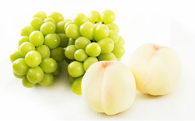 桃 ぶどう 2026年 先行予約 果物 詰合せ 白桃 2玉（1玉220g以上）シャインマスカット 晴王 2房（1房480g以上）化粧箱入り 岡山県産 国産 フルーツ ギフト フルーツ詰め合わせ 贈答品 セット [№5735-1469]