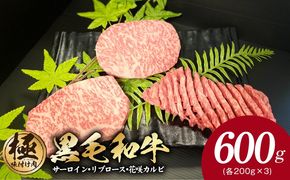 G3635 黒毛和牛 サーロイン/リブロース/花咲カルビ ステーキ 食べ比べセット 合計600g（200g×3種）【極味付け肉】