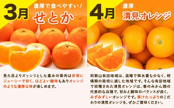 【先行予約】【発送月固定定期便】紀州 和歌山産 旬の ご家庭用 柑橘 セット (みかん 不知火 せとか 清見)【全4回】 計19kg 株式会社魚鶴《1月上旬-5月上旬頃出荷》 和歌山県 日高川町 みかん 不知火 清見 オレンジ 柑橘 蜜柑 果物 訳あり 送料無料 定期便---wshg_uotteik3_25_47000_mo4num1---