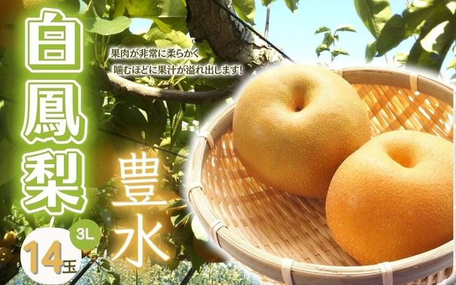  白鳳梨（豊水）3L 14玉 ※お届けは9月上旬から9月中旬頃の予定です【hkns0001】 