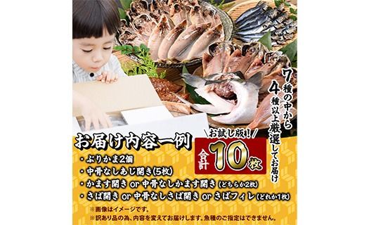 ＜訳あり＞ 厳選 干物 お試し版 (総量10枚) 簡単 調理 干物 あじ かます さば ぶり ぶりかま 開き 魚 海鮮 冷凍 詰め合わせ 大分県 佐伯市 やまろ渡邉【DL33】【鶴見食賓館】