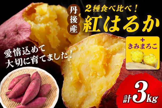 【食べ比べ】紅白 きみまろこと紅はるかのさつまいもセット 3kg 2027年3月中旬～配送　紅はるか きみまろこ 食べ比べ 品種 お野菜 野菜 正規品 ふるさと納税 さつまいも ふるさと納税 紅はるか べにはるか 甘い　AM00747_04