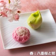 【スイーツ】ずーっと、眺めていたくなりますが、お早目にお召し上がりください。「夢菓子工房ことよ」季節の練り切り菓子 春篇10個-[G651]