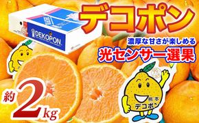 【先行予約】 デコポン 約2kg (5～9玉) でこぽん 不知火 みかん 蜜柑 柑橘 果物 フルーツ 旬 熊本県 八代市【2026年12月上旬より順次発送】