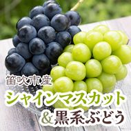 ＜25年発送先行予約＞シャインマスカット&黒系ぶどう 各1房(2房合計1kg程度) 　 229-003