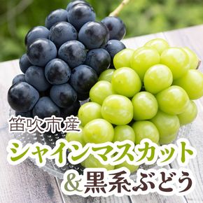 ＜25年発送先行予約＞シャインマスカット&黒系ぶどう 各1房(2房合計1kg程度) 　 229-003