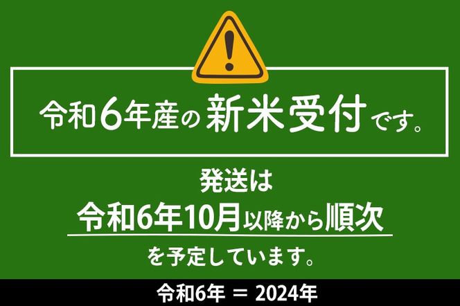 【白米】秋のきらめき 10kg（10kg×1袋）精米 令和6年産 新米予約 秋田県 仙北市産 10キロ|02_onm-070501