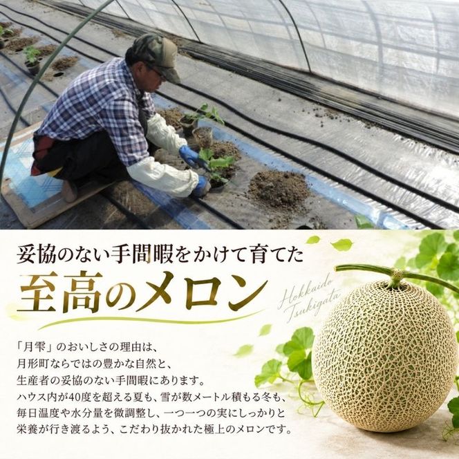 〈先行受付〉【2027年夏発送】北海道 青肉メロン 月雫 秀品 1玉 約1.6kg 令和9年 メロン 果物 フルーツ 旬 季節 希少 甘い 豊潤 国産 北海道産 デザート ご褒美 産地直送 産直 ギフト お祝い 贈答品 贈り物 お中元