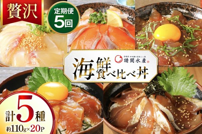 海鮮丼 海鮮漬け丼 5か月 定期便 [請関水産 宮崎県 日向市 452061670] 海鮮丼の具 海鮮 海鮮丼セット 食べ比べ 丼 冷凍 ギフト 漬け丼 ブリ 真鯛 マダイ カンパチ かんぱち まぐろ マグロ サーモン