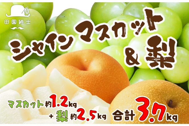 ys{OszcamI VC}XJbgEZbg@DE00142