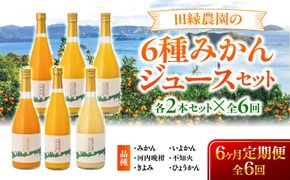 【6ヶ月定期便】田縁農園 6種みかんジュースセット 各2本セット×全6回 みかん いよかん 河内晩柑 不知火 きよみ ひょうかん IKTA051