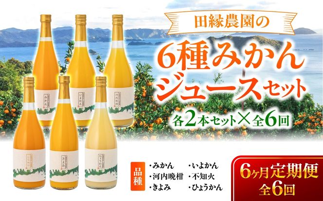 【6ヶ月定期便】田縁農園 6種みかんジュースセット 各2本セット×全6回 みかん いよかん 河内晩柑 不知火 きよみ ひょうかん IKTA051