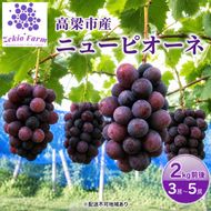 ニュー ピオーネ 2kg前後 3房～5房 葡萄 フルーツ 岡山 高梁市産 ぜきお農園 ぶどうclub 2026年 先行予約 果物 