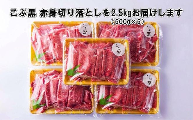 訳あり 北海道産 黒毛和牛 こぶ黒 赤身 切り落とし 2.5kg ( 500g × 5パック ) 黒毛和牛 和牛 牛肉 経産牛