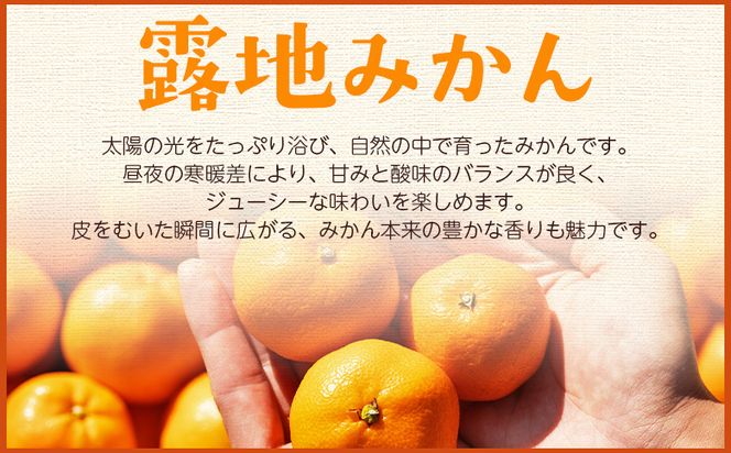みかん 【2026年10月下旬発送】露地みかん(2S～Mサイズ) 5kg 贈答用 （傷み補償分 ＋約100g） - 果物 くだもの フルーツ 果実 柑橘 かんきつ 蜜柑 みかん om-0004