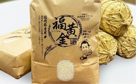 たまごかけご飯 セット ★ 卵 20個 / お米 2kg / たまごかけ ご飯 専用 醤油 《糸島》【株式会社おおはまファーム】 [AKH011]