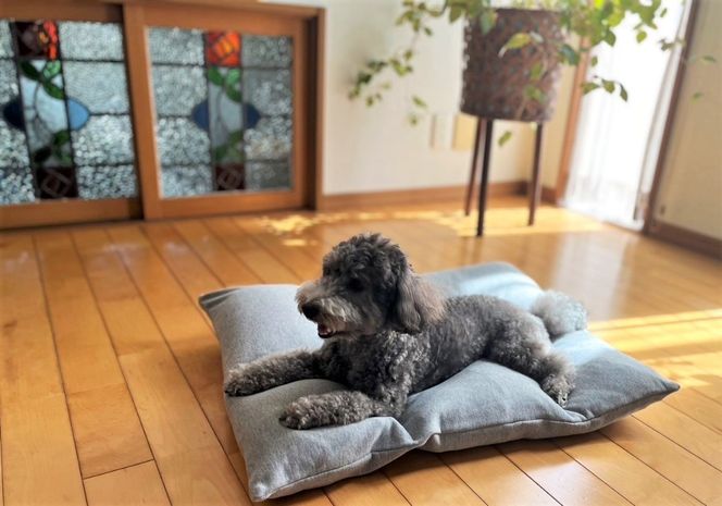 【たっぷり!!リアルダウン使用】大きめ! ペット用 羽毛クッションセット ペットベッド 犬や猫が大好き!! H162-049