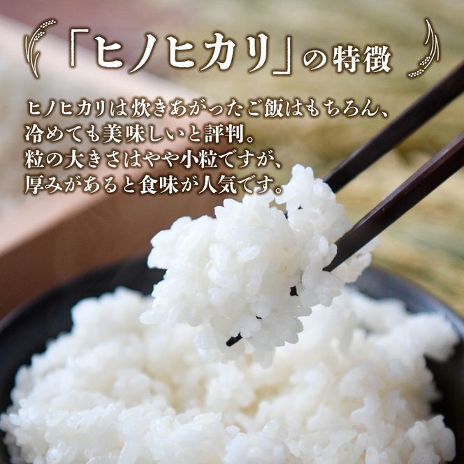 【新米 令和7年産】無洗米ヒノヒカリ 5kg（国産 米 新米 無洗米 お米 精米 5kg 数量限定）
