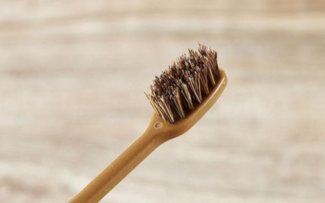 MEGURU 竹の歯ブラシ 花馬毛 4本セット fain0006