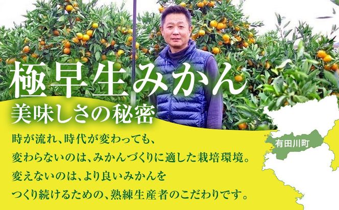 有田みかん専門店 有田の太陽®ファミリー 極早生 有田みかん 9.5kg＋補償分100g 山採れ・サイズ・等級 混合 FH03