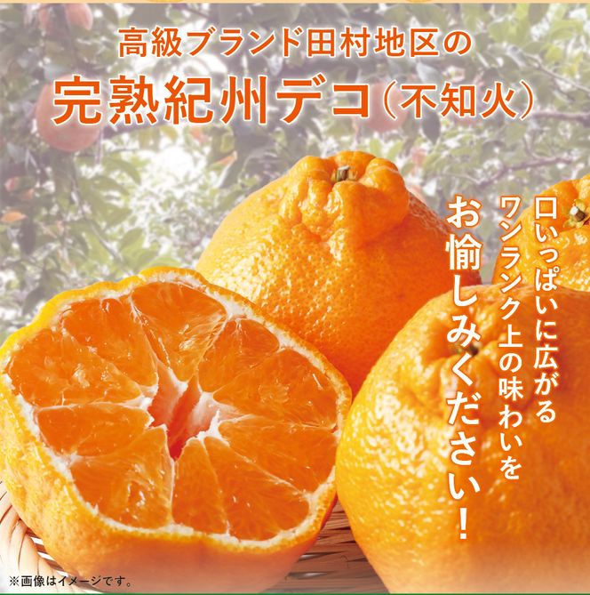 高級ブランド田村の完熟紀州デコ(不知火)約8kg＜2027年3月上旬～3月中旬頃順次発送＞【uot867】