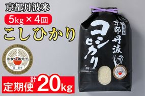 【定期便】米 京都丹波米こしひかり5kg×4回 計20kg◇◆◇ 定期便 4回定期便 米 白米 5kg 4ヶ月 ※精米したてをお届け ｜ 米・食味鑑定士厳選 コシヒカリ 京都丹波産 ※北海道・沖縄・離島への配送不可