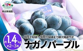 ナガノパープル 約1.4kg (約2～3房)《黒岩果樹園》■2025年発送■※8月下旬頃～9月下旬頃まで順次発送予定