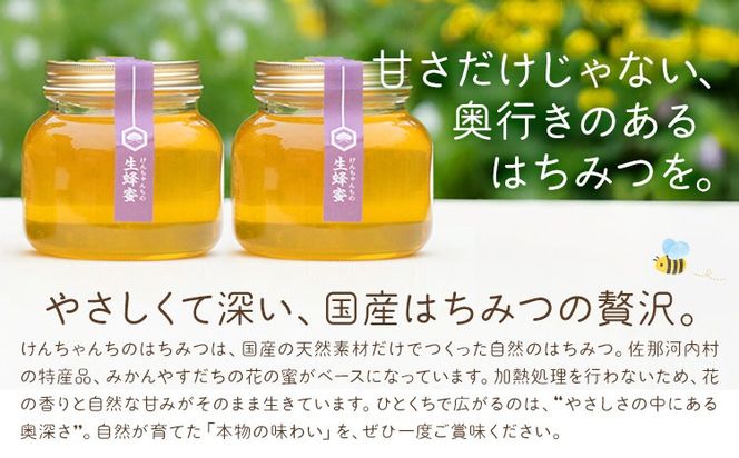 けんちゃんちのはちみつ 730g 2個セット《30日以内に出荷予定（土日祝除く）》ふるさと納税 はちみつ ハチミツ 蜂蜜 国産蜂蜜 天然蜜蜂 徳島県 佐那河内村 送料無料---tsm_mkf7_30d_25_23500_1460g---
