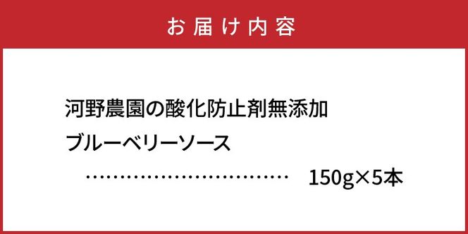 河野農園の酸化防止剤無添加ブルーベリーソース150g×5本_1450R