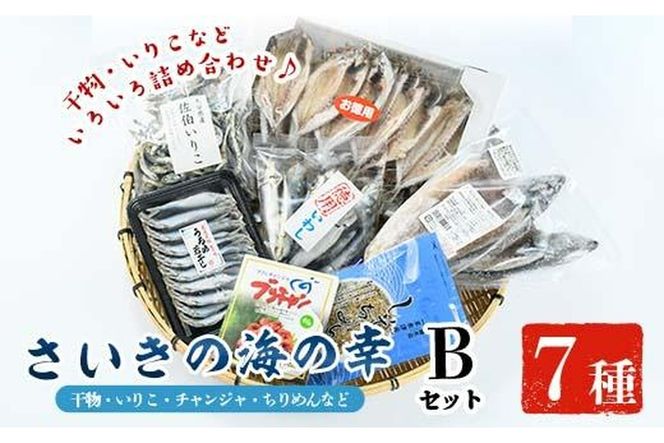 さいきの海の幸Bセット (7種) 鯵 鰯 イワシ 鯖 サバ ちりめん ブリチャン 魚 干物 海産物 韓国料理 加工食品 セット 詰め合わせ 大分県 佐伯市【EW015】【(株)Up】