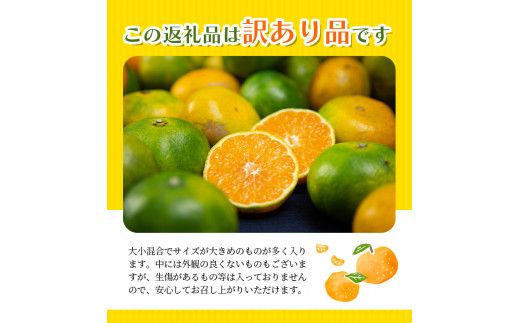 みかん 【先行予約】 選べる容量 訳あり 極早生温州みかん 約4kg 6.5㎏ 10kg ＋痛み保証分 2S～3L サイズおまかせ 【2026年9月下旬から10月中旬までに順次発送予定】 / 家庭用 ご家庭用 訳アリ わけあり ミカン 蜜柑 柑橘 果物 くだもの フルーツ 極早生 温州 夏みかん【njb691A_cho】