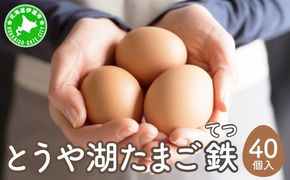 北海道 伊達市 とうや湖 卵 鉄  40個 入り たまご