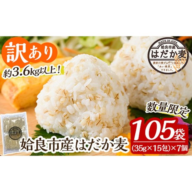 yǎsza630 s󂠂EʌtǎsY͂35g×105(v3.6kg)y|VގYƁzǎs Y ͂p͂