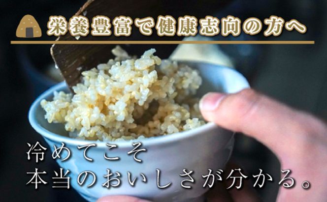 【令和8年産 新米】 【定期便／全12回】玄米10kg　新潟県魚沼産コシヒカリ「山清水米」十日町市 米